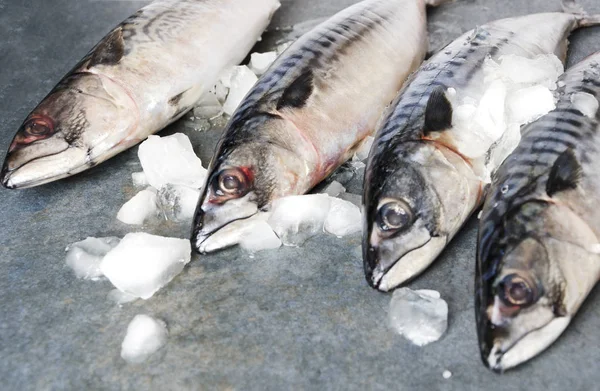 Закрытие Макрелей Серой Поверхности Концепция Рыночной Площади Продажи Рыбы — стоковое фото