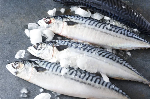 Reihe Aus Mehreren Makrelen Mit Eiswürfeln Auf Dem Grauen Fischmarkt — Stockfoto