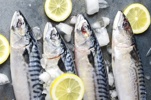 Вид Сверху Свежую Сырую Рыбу Слайсами Лемона Процесс Приготовления Вкусной — стоковое фото