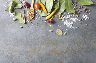 Tasarım için pişirme, sıra ve boş alan için spieces ve otlar seti