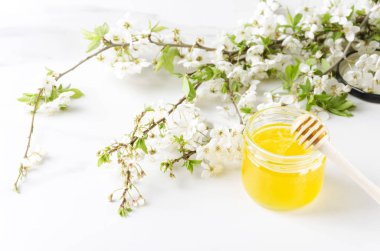 Kavanoz içinde taze olabilir bal, beyaz yüzey üzerinde çiçek dalları. Bahar zamanı ve taze toplanan bal