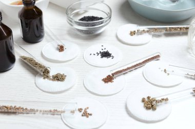 Tarım laboratuarındaki işyerinde. Bilim adamlarının masasında test edilmeden önce çok çeşitli tohumlar vardı.