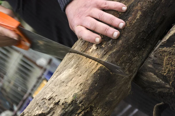 手のこぎりで木材を切断するプロセス 男性の手 手のこぎり 木庭で働く — ストック写真