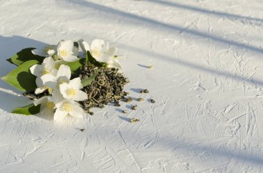 Güneş ışığında beyaz yüzeyde yeşil çay ve taze yasemin beyaz çiçeklerkuru yaprakları yığını