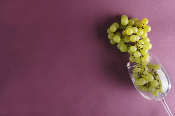 Vino Copa Uvas Maduras Superficie Violeta — Foto de Stock