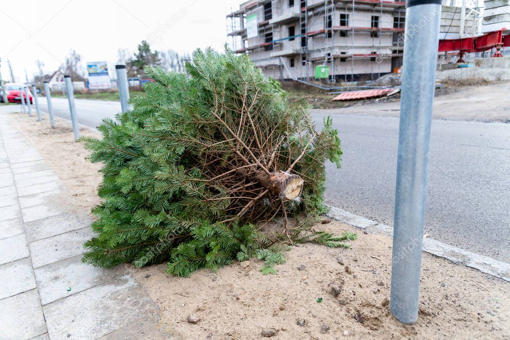 A Christmas tree that was put down at the roadside after Christmas.