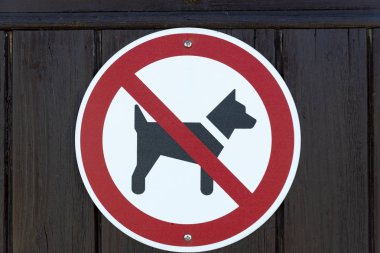 köpek yok