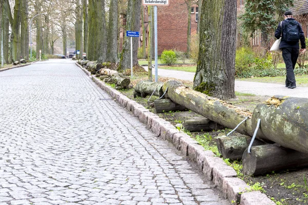 Drewno graniczne jezdne — Zdjęcie stockowe