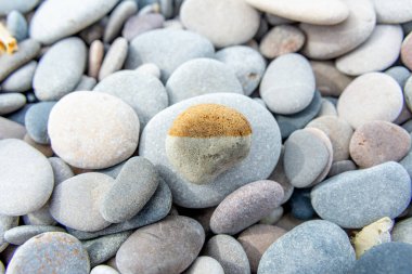 A bicolored pebble stands out among a bed of gray stones, highlighting nature's diverse palette and textures clipart