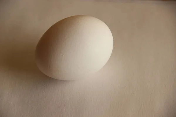 흰색 배경에 흰색 달걀입니다. 격리 된 근접 컷아웃 — 스톡 사진