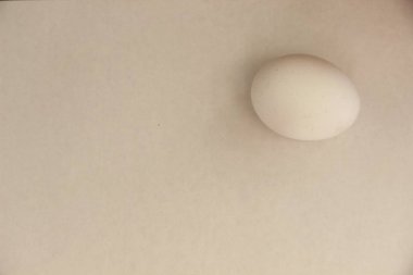 Beyaz arka plan izole yakın çekim şalter üstünde beyaz yumurta 