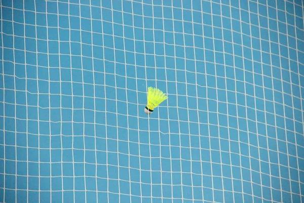 bir kılavuz badminton raketle