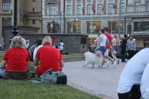 Family with a white fluffy dog walks amicably down the street in step on the Manege square in Moscow — Stock Photo, Image