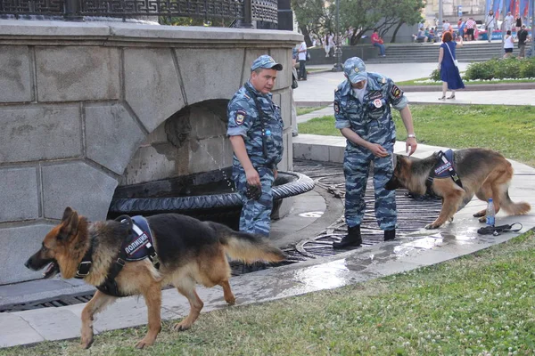 Dos policías con perros de servicio cerca de la fuente durante el calor en la ciudad —  Fotos de Stock