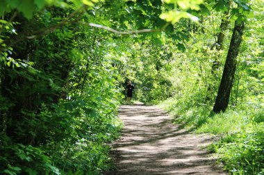 Park'taki orman yolu, ağaçlar ve çalıların yeşil yapraklarıyla çerçevelenmiş, güneşli bir günde koşan bir adamın silueti