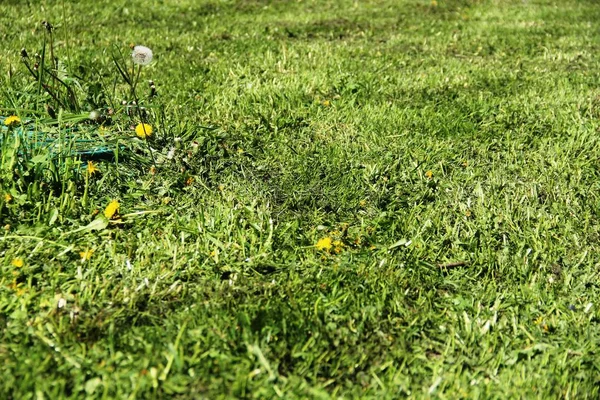Mowed grass, the work of urban utilities. urban lawn, ecology of the big city. — Stock Photo, Image