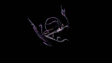 Fantezi kaotik renkli fraktal desen. Soyut Fraktal şekiller. 3D render resimde arka plan veya duvar kağıdı.