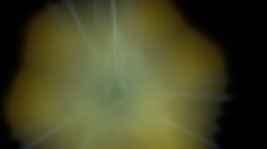 Fantezi kaotik renkli fraktal desen. Soyut Fraktal şekiller. 3D render resimde arka plan veya duvar kağıdı.