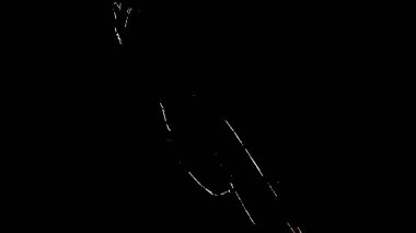 Fantezi kaotik renkli fraktal desen. Soyut Fraktal şekiller. 3D render resimde arka plan veya duvar kağıdı.