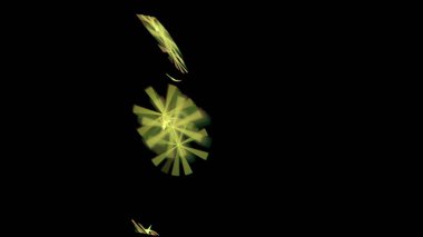 Fantezi kaotik renkli fraktal desen. Soyut Fraktal şekiller. 3D render resimde arka plan veya duvar kağıdı.