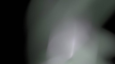 Fantezi kaotik renkli fraktal desen. Soyut Fraktal şekiller. 3D render resimde arka plan veya duvar kağıdı.