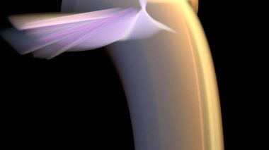 Fantezi kaotik renkli fraktal desen. Soyut Fraktal şekiller. 3D render resimde arka plan veya duvar kağıdı.