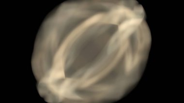 Fantezi kaotik renkli fraktal desen. Soyut Fraktal şekiller. 3D render resimde arka plan veya duvar kağıdı.