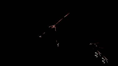 Fantezi kaotik renkli fraktal desen. Soyut Fraktal şekiller. 3D render resimde arka plan veya duvar kağıdı.