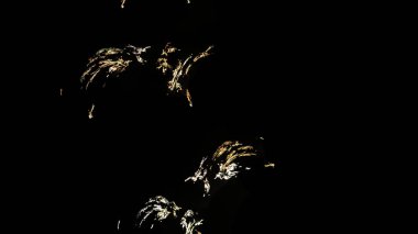 Fantezi kaotik renkli fraktal desen. Soyut Fraktal şekiller. 3D render resimde arka plan veya duvar kağıdı.