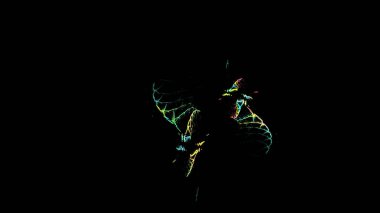 Fantezi kaotik renkli fraktal desen. Soyut Fraktal şekiller. 3D render resimde arka plan veya duvar kağıdı.