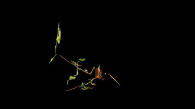 Fantezi kaotik renkli fraktal desen. Soyut Fraktal şekiller. 3D render resimde arka plan veya duvar kağıdı.