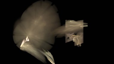 Fantezi kaotik renkli fraktal desen. Soyut Fraktal şekiller. 3D render resimde arka plan veya duvar kağıdı.