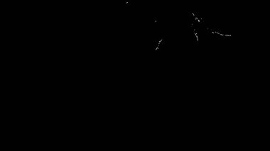 Fantezi kaotik renkli fraktal desen. Soyut Fraktal şekiller. 3D render resimde arka plan veya duvar kağıdı.