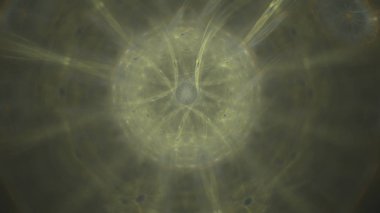 Fantezi kaotik renkli fraktal desen. Soyut Fraktal şekiller. 3D render resimde arka plan veya duvar kağıdı.