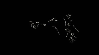 Fantezi kaotik renkli fraktal desen. Soyut Fraktal şekiller. 3D render resimde arka plan veya duvar kağıdı.