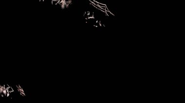 Fantezi kaotik renkli fraktal desen. Soyut Fraktal şekiller. 3D render resimde arka plan veya duvar kağıdı.