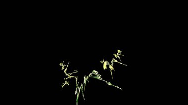 Fantezi kaotik renkli fraktal desen. Soyut Fraktal şekiller. 3D render resimde arka plan veya duvar kağıdı.