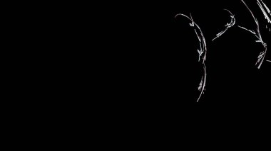 Fantezi kaotik renkli fraktal desen. Soyut Fraktal şekiller. 3D render resimde arka plan veya duvar kağıdı.