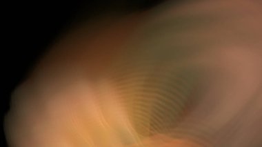 Fantezi kaotik renkli fraktal desen. Soyut Fraktal şekiller. 3D render resimde arka plan veya duvar kağıdı.