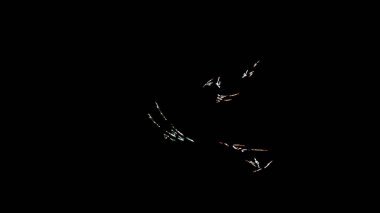 Fantezi kaotik renkli fraktal desen. Soyut Fraktal şekiller. 3D render resimde arka plan veya duvar kağıdı.