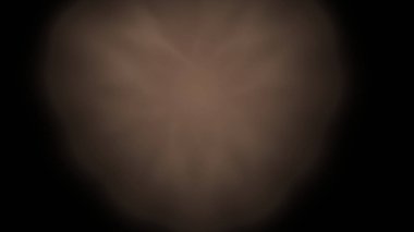 Fantezi kaotik renkli fraktal desen. Soyut Fraktal şekiller. 3D render resimde arka plan veya duvar kağıdı.