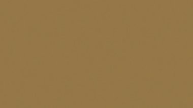 Fantezi kaotik renkli fraktal desen. Soyut Fraktal şekiller. 3D render resimde arka plan veya duvar kağıdı.