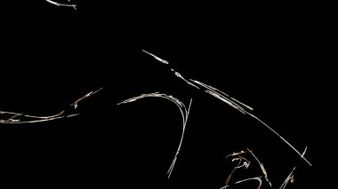 Fantezi kaotik renkli fraktal desen. Soyut Fraktal şekiller. 3D render resimde arka plan veya duvar kağıdı.