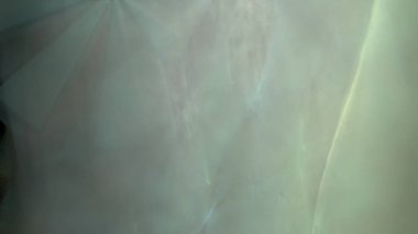 Fantezi kaotik renkli fraktal desen. Soyut Fraktal şekiller. 3D render resimde arka plan veya duvar kağıdı.