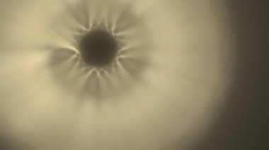 Fantezi kaotik renkli fraktal desen. Soyut Fraktal şekiller. 3D render resimde arka plan veya duvar kağıdı.