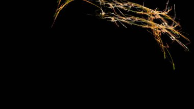 Fantezi kaotik renkli fraktal desen. Soyut Fraktal şekiller. 3D render resimde arka plan veya duvar kağıdı.