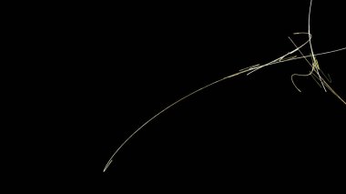 Fantezi kaotik renkli fraktal desen. Soyut Fraktal şekiller. 3D render resimde arka plan veya duvar kağıdı.