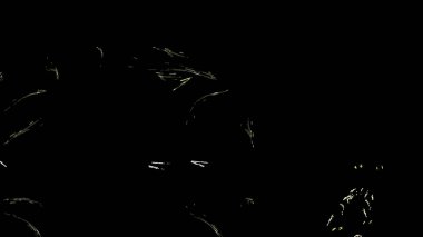 Fantezi kaotik renkli fraktal desen. Soyut Fraktal şekiller. 3D render resimde arka plan veya duvar kağıdı.