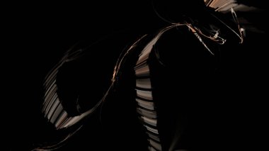 Fantezi kaotik renkli fraktal desen. Soyut Fraktal şekiller. 3D render resimde arka plan veya duvar kağıdı.