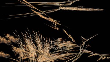 Fantezi kaotik renkli fraktal desen. Soyut Fraktal şekiller. 3D render resimde arka plan veya duvar kağıdı.